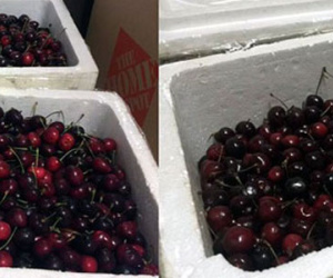 Bay Mỹ-Nội Bài, thùng cherry vơi 1/3: Hàng không nói gì?