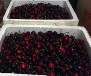 Thực hư chuyện nhân viên sân bay Nội Bài móc trộm cherry