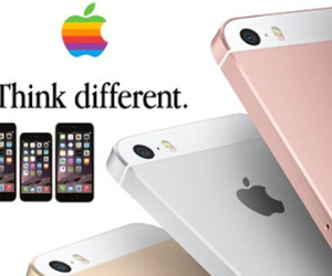 Apple không cần thay đổi vì người dùng quá trung thành