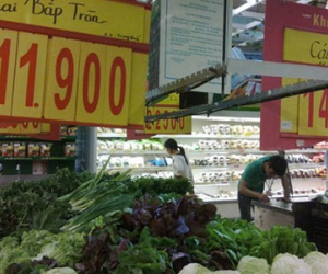 Rau cải Trung Quốc nhiễm thuốc trừ sâu vượt 8 lần cho phép