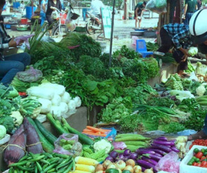 Hơn 5% lượng rau bán trên thị trường nhiễm chất cấm