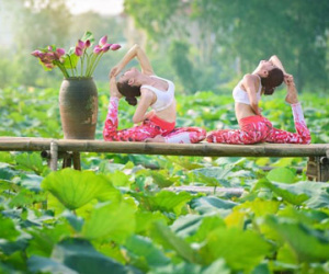 Mê tít bộ ảnh yoga tuyệt đẹp giữa đầm sen thơm ngát