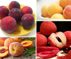 Nên cúng Tết Đoan Ngọ vào sáng sớm hay giữa trưa chuẩn nhất?