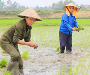 Phụ nữ “sinh ra để làm việc không tên, không công”?