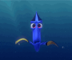 10 khám phá hay ho cần biết trước khi xem siêu phẩm "Finding Dory"
