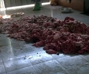 Dân đeo khẩu trang ngủ vì lò nấu mỡ bốc mùi hôi thối