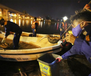 Hàng trăm công nhân cứu cá hồ trung tâm Hà Nội xuyên đêm