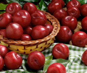 Vì sao Tết Đoan Ngọ có nguồn gốc từ Việt Nam?