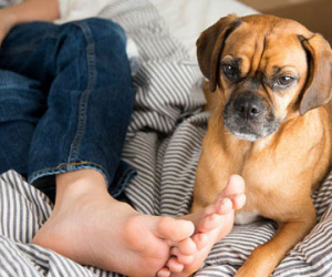 Vì sao chân bạn bị hôi