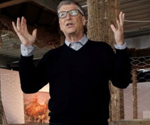 Bill Gates dạy làm giàu từ nuôi gà