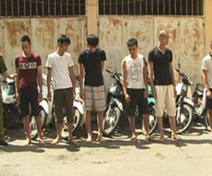 7 "đạo chích" sa lưới cùng một lúc