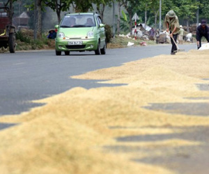 Đại lộ hiện đại nhất Việt Nam thành sân phơi