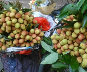 Vải lai "núp bóng" vải thiều đổ bộ ồ ạt xuống Hà Nội