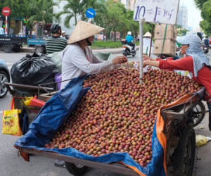 "Đại bại" ở siêu thị, mận TQ thoát ra đường thành... mận Hà Nội