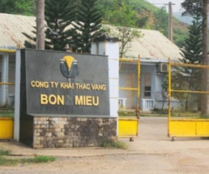 Đề nghị rút giấy phép công ty vàng Bồng Miêu, Phước Sơn