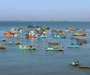 Vũng Tàu cấm ghe thuyền neo đậu ở biển Bãi Trước