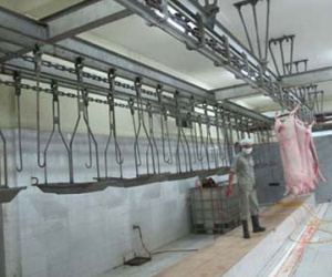 Dừng thi công nhà máy giết mổ gia súc công nghệ hiện đại