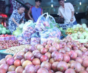 Mận, đào Trung Quốc gắn mác đặc sản Hà Nội xuống phố Sài Gòn