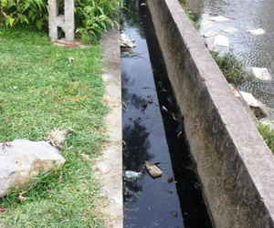 Thi thể người đàn ông dưới mương nước với nhiều thương tích