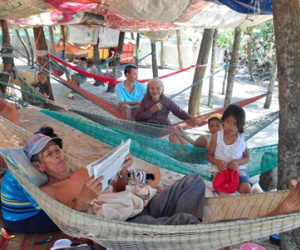 Hàng trăm người ra rừng dương ven biển dựng lều tránh nóng