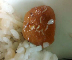 Hủy hợp đồng với quán cơm có dòi ở KTX đại học