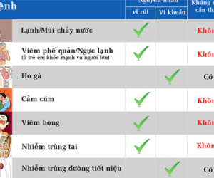 Infographic: Những điều cần biết khi dùng kháng sinh