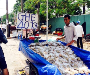Ghẹ Vũng Tàu "siêu rẻ" bán đầy đường Sài Gòn