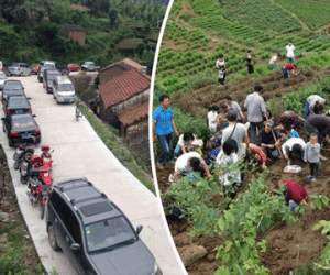 Đến đại gia đi Mercedes cũng đổ lên núi tìm kiếm "lộc trời cho"