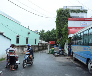 Bé trai khóc ngất bên thi thể anh bị cây đè