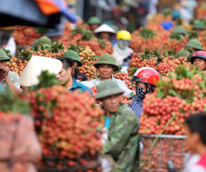 Cảnh chợ vải thiều Việt Nam lên báo nước ngoài