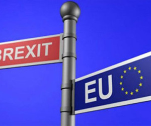 Lượt tìm kiếm "điều gì xảy ra nếu rời EU" tăng vọt trên Google