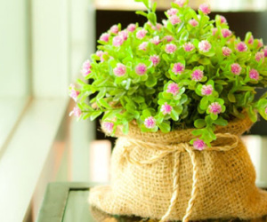 Thứ sáu của bạn