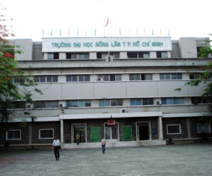 Gần 1.000 sinh viên Đại học Nông lâm TP HCM bị buộc thôi học
