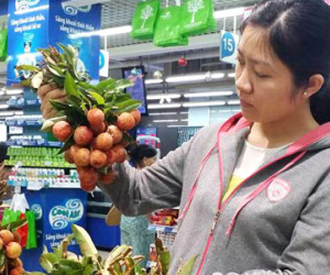"Giải cứu” hàng nghìn tấn vải thiều phía Bắc