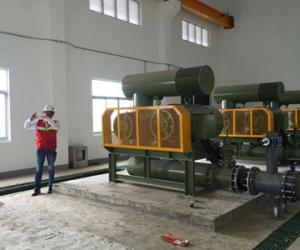 Vội vàng “đón” nhà máy giấy Trung Quốc