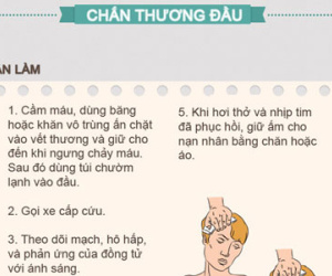 Sơ cứu đúng nạn nhân bị chấn thương đầu, ngất xỉu, đuối nước và vết cắn