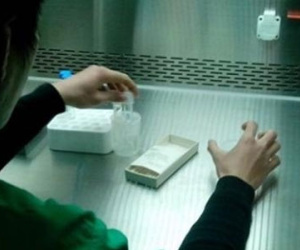 Nam thanh niên suýt vô sinh vì bị virus ăn gần hết tinh trùng