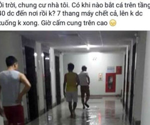 Ngập ở tầng cao chung cư ông Thản, thang máy ngừng hoạt động