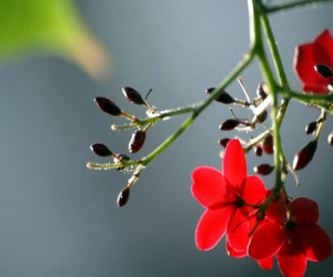 Thứ ba của bạn