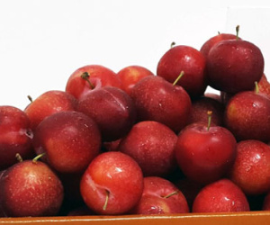 Chê mận Việt, nhà giàu khoái ăn mận Mỹ 600 ngàn/kg