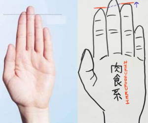 Người Nhật nhìn độ dài ngón đeo nhẫn đoán đời sống hẹn hò