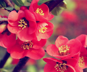 Thứ năm của bạn (30/6)