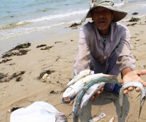 Truyền thông thế giới quan tâm đến thủ phạm gây cá chết hàng loạt ở Việt Nam
