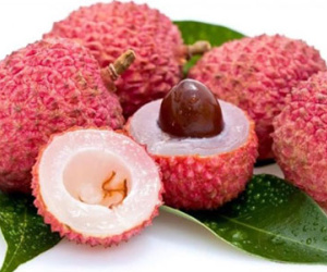 Thực hư thông tin ăn vải thiều dễ bị bệnh viêm não Nhật Bản