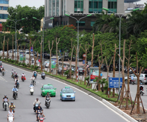 Hà Nội sắp có thêm nhiều tuyến phố hoa phượng đỏ