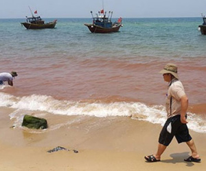 Nguyên nhân gây cá chết được truy tìm như thế nào