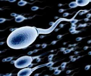 Chất lượng tinh trùng tiết lộ gì về sức khỏe đàn ông