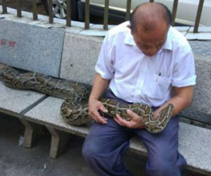 Cụ ông nuôi con trăn nặng 60kg trong nhà và coi như... con đẻ