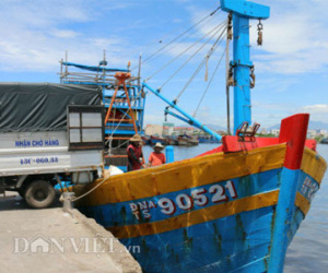 Cảng cá lớn nhất miền Trung: Giá cá rớt thê thảm sau vụ Formosa