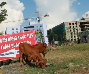 Dự án 6.000 tỉ của Cienco 5: Cháy nhà mới ra... lỗ hổng